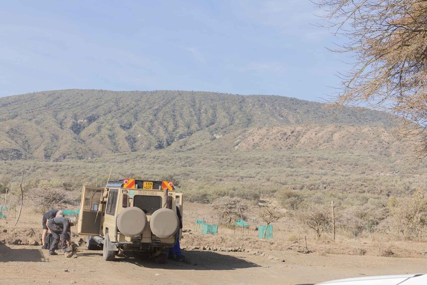 Picture 3 for Activity Mount Longonot Park Day Tour From Nairobi.