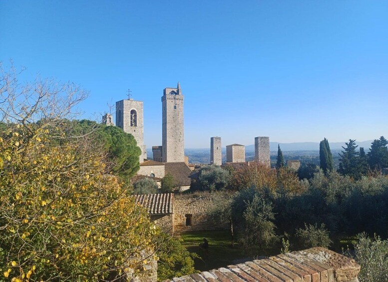 San Gimignano: Bike tour in the Tuscan Hills