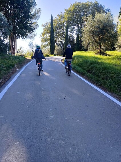 Picture 1 for Activity San Gimignano: Bike tour in the Tuscan Hills