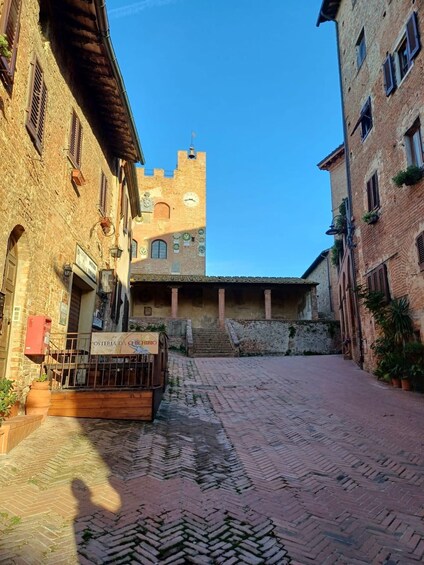 Picture 15 for Activity San Gimignano: Bike tour in the Tuscan Hills