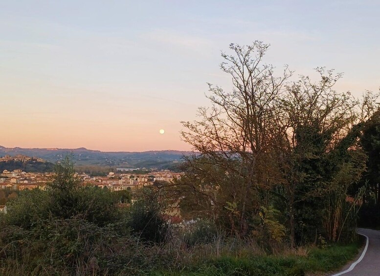 Picture 5 for Activity San Gimignano: Bike tour in the Tuscan Hills