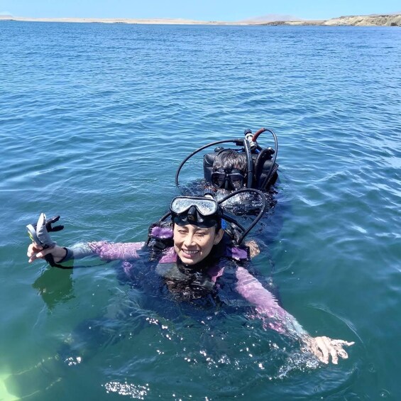 Picture 6 for Activity Deep Dive Discovery - Scuba Diving in Paracas