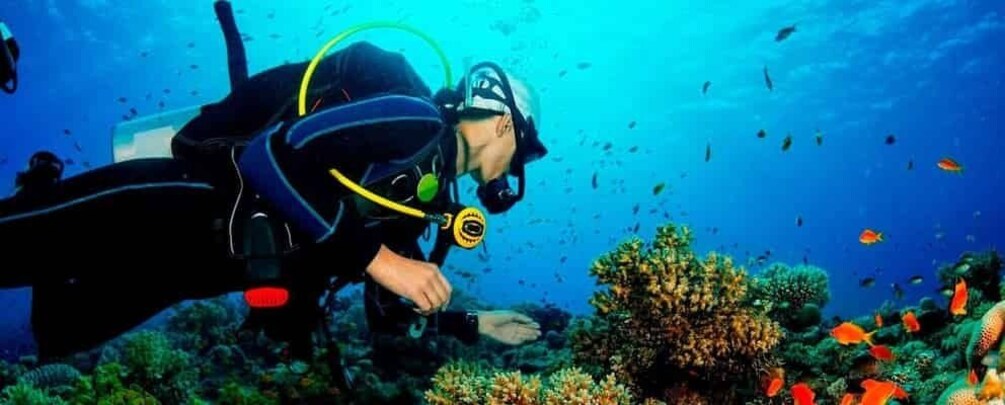 Picture 5 for Activity Deep Dive Discovery - Scuba Diving in Paracas