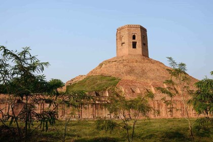 Day Trip To Sarnath From Varanasi