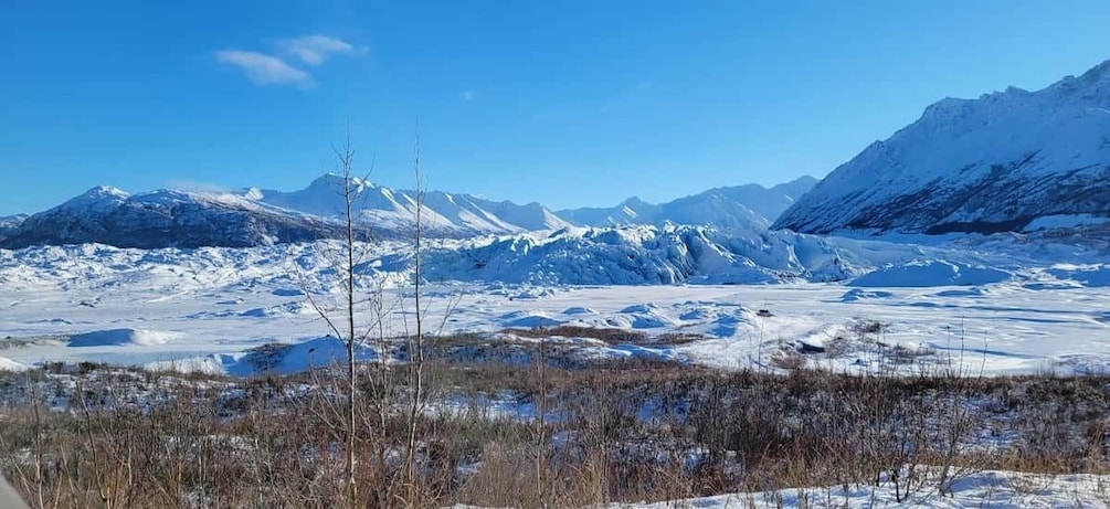 Picture 4 for Activity Anchorage: Full-Day Matanuska Glacier Hike and Tour