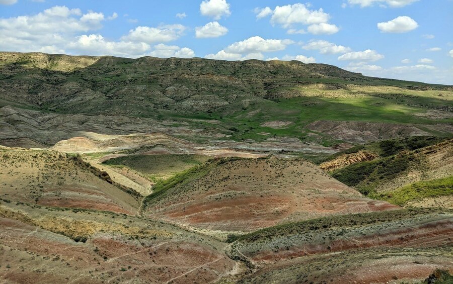 Picture 4 for Activity Tbilisi: David Gareja and Colorful hills of Semi-desert