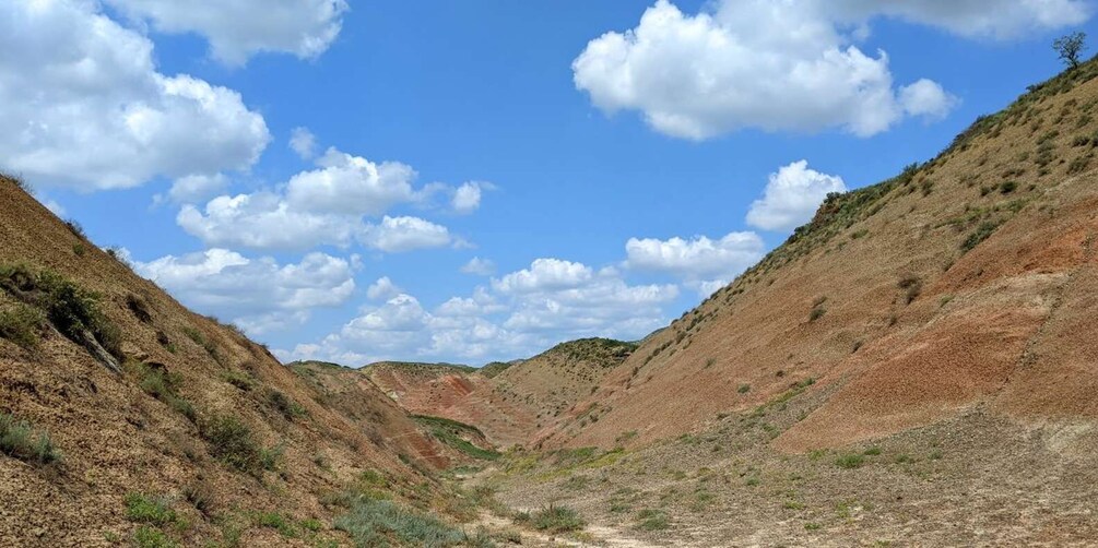 Picture 1 for Activity Tbilisi: David Gareja and Colorful hills of Semi-desert