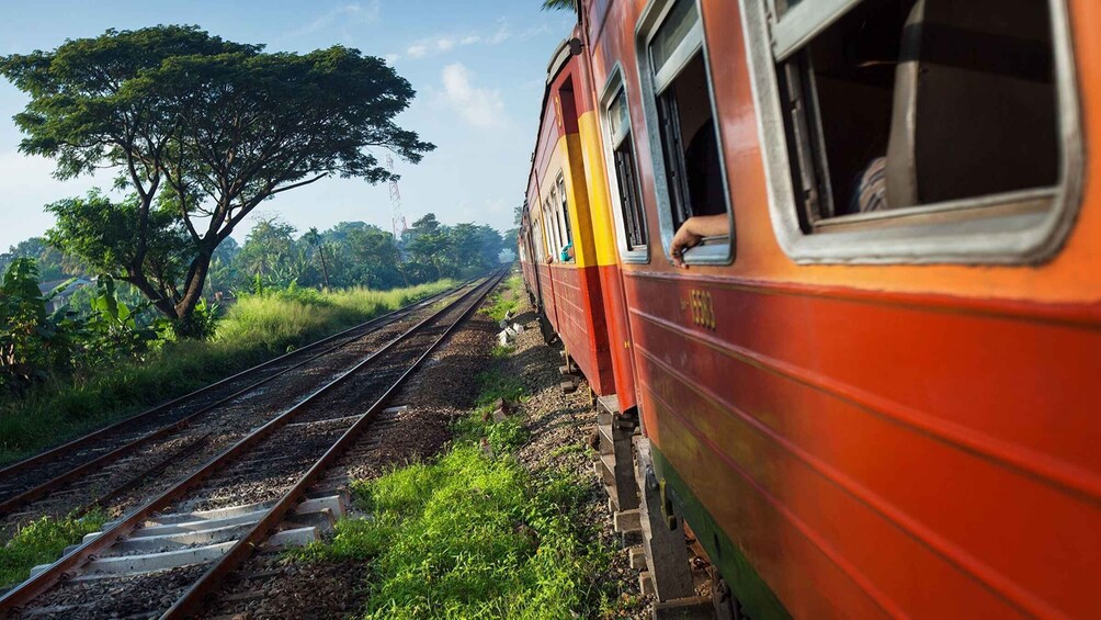 Picture 1 for Activity Ella: First-Class Scenic Train Ticket To/From Kandy