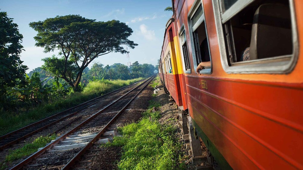 Picture 1 for Activity Ella: First-Class Scenic Train Ticket To/From Kandy