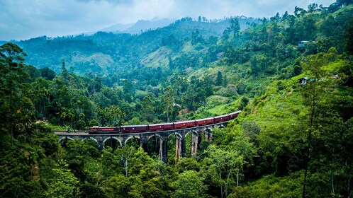 Ella: billete de tren panorámico de primera clase hacia/desde Kandy