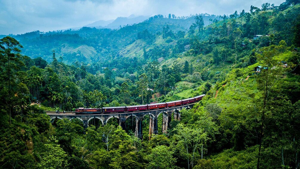 Ella: First-Class Scenic Train Ticket To/From Kandy