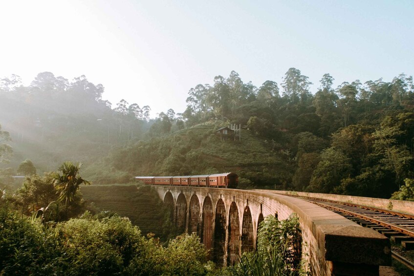 Picture 4 for Activity First Class Ella From/To Kandy Scenic Train Ticket