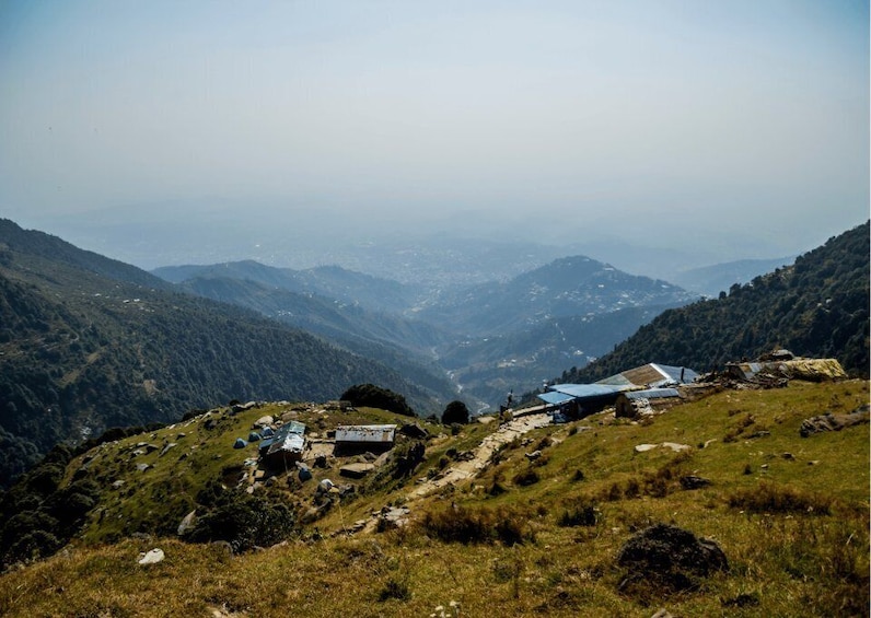 Picture 7 for Activity Mcleodganj Nature Trek (3 Hours Guided Walking Tour)