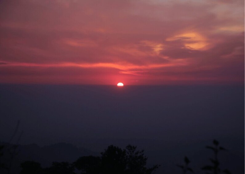 Picture 5 for Activity Mcleodganj Nature Trek (3 Hours Guided Walking Tour)