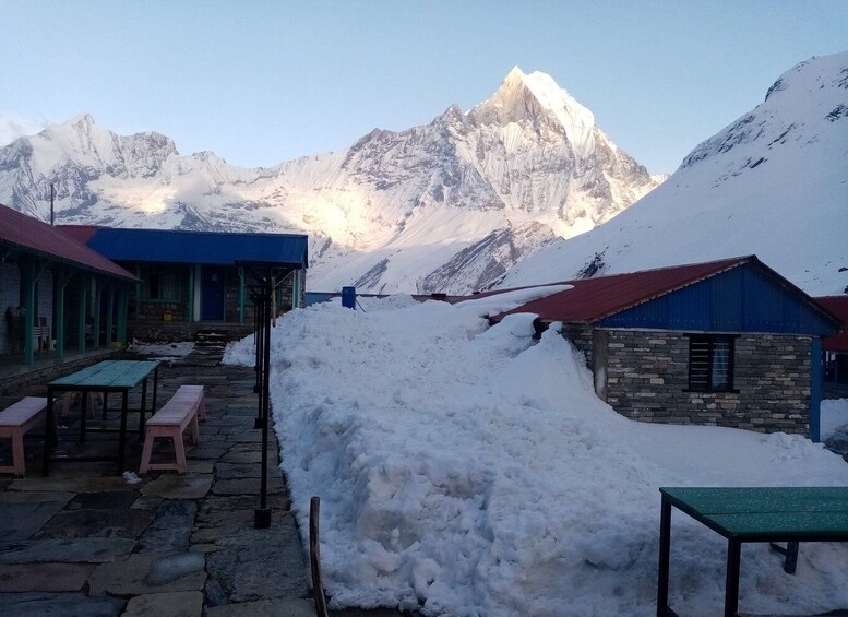 Picture 1 for Activity Pokhara: 9 Days Annapurna Base Camp Trek