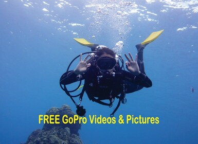 Panama City Beach: Beginners Scuba Diving Tour