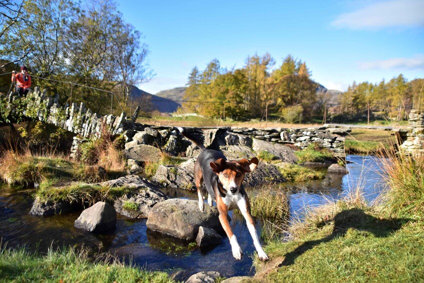 Picture 2 for Activity Walking guide - Lake District National Park