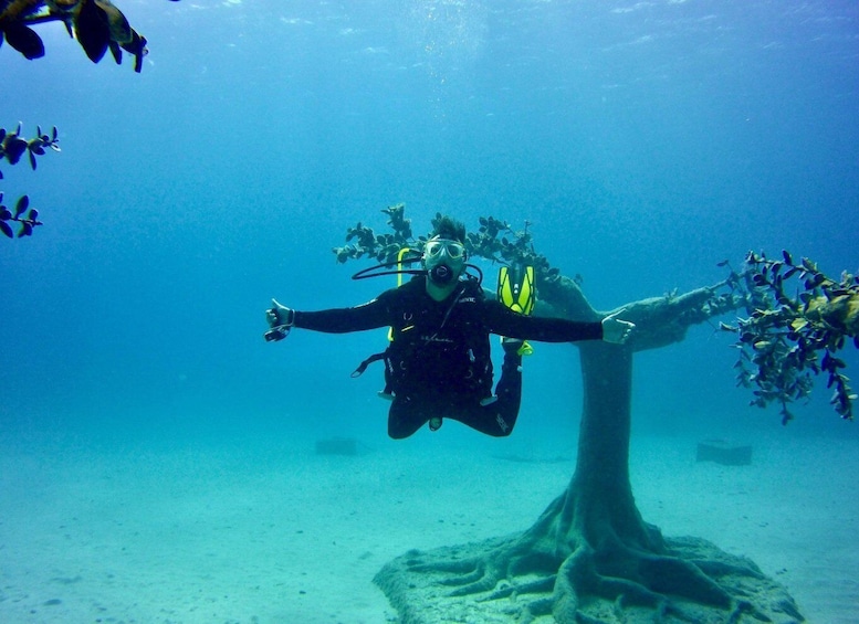 Picture 3 for Activity Explore the Musan Underwater Museum with a Scuba Diving Tour