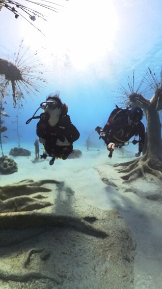 Picture 3 for Activity Ayia Napa: Musan Underwater Museum Scuba Dive with Transfer