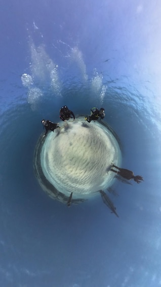 Picture 1 for Activity Ayia Napa: Musan Underwater Museum Scuba Dive with Transfer
