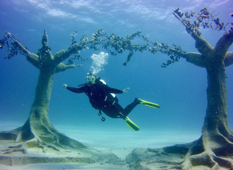 Picture 7 for Activity Ayia Napa: Musan Underwater Museum Scuba Dive with Transfer