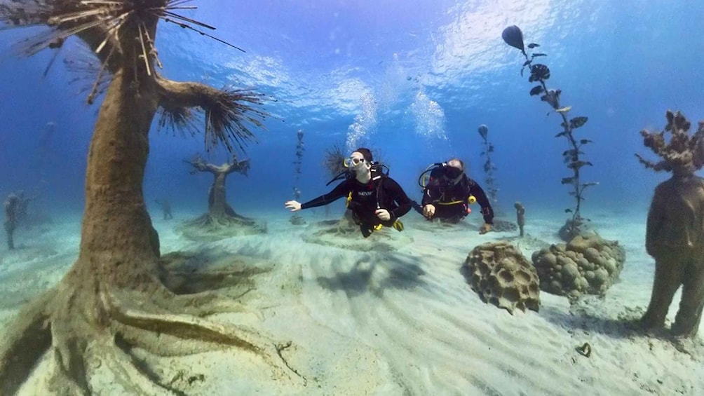 Picture 8 for Activity Ayia Napa: Musan Underwater Museum Scuba Dive with Transfer