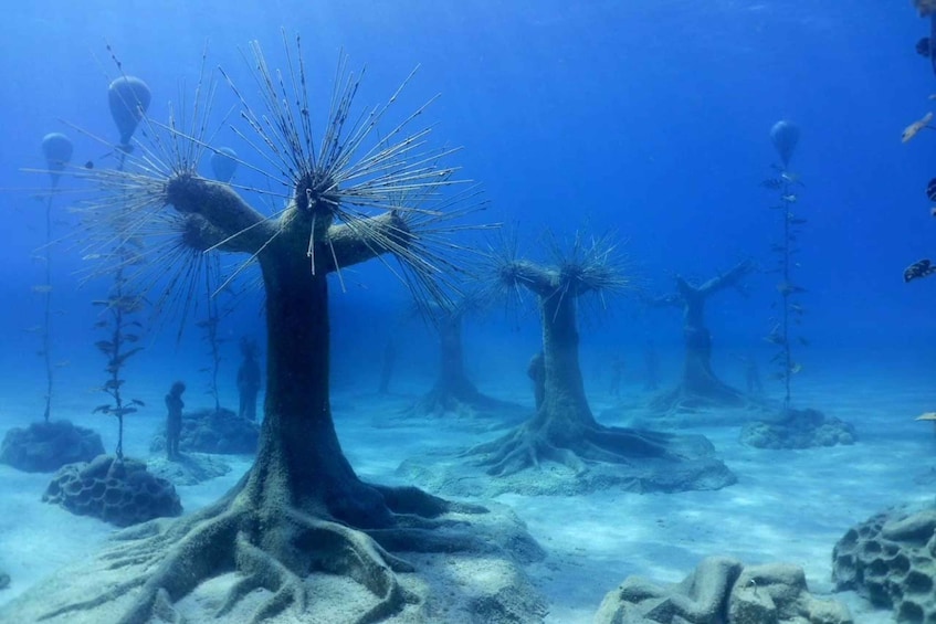 Scuba Diving - Musan Underwater Sculpture Park