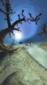 Ayia Napa: Musan Underwater Museum Scuba Dive with Transfer