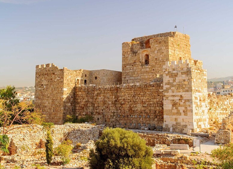 Picture 11 for Activity Jeita-Byblos-Baalbek & Cedars w/pickup, guide, entries+lunch