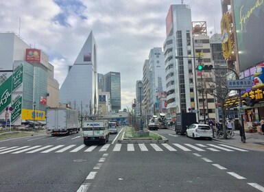 Osaka: Half-Day Private Guided Tour of Minami Modern City