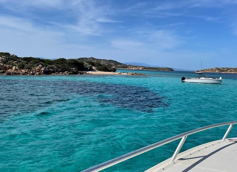 Picture 16 for Activity boat tour in the Maddalena archipelago