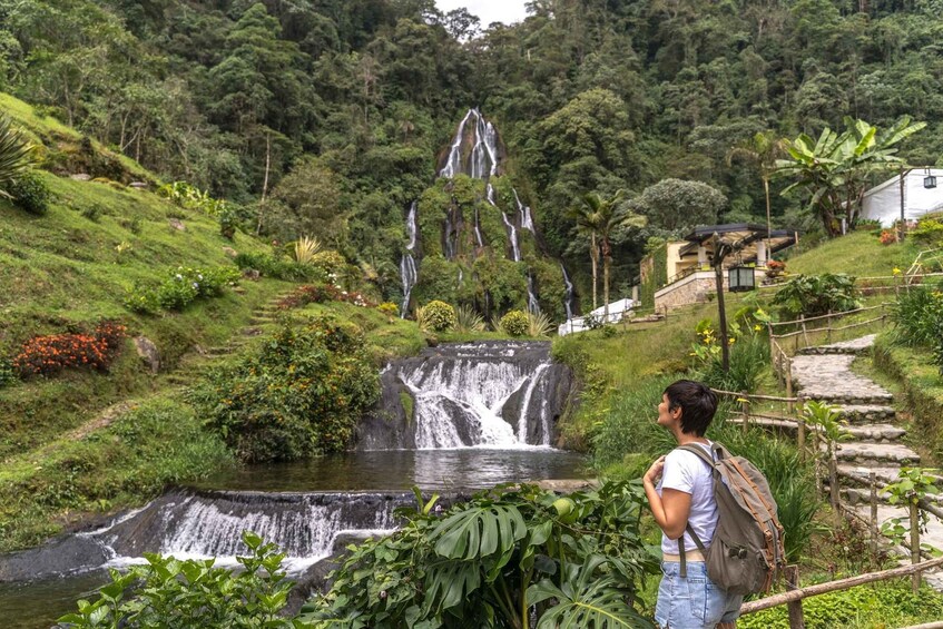 Picture 5 for Activity Colombian Cultural and Natural Immersion 13-Day Tour