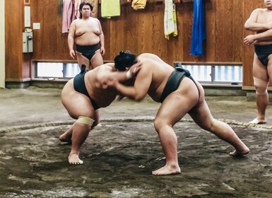 Tokio: visita matutina de entrenamiento de sumo