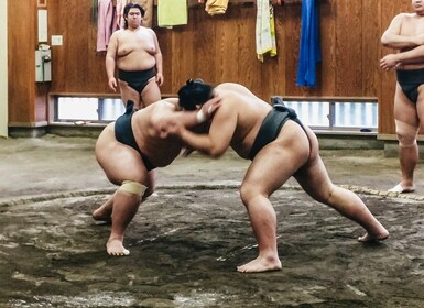 Tokyo - Sumo Besök på Sumo Morgonträning