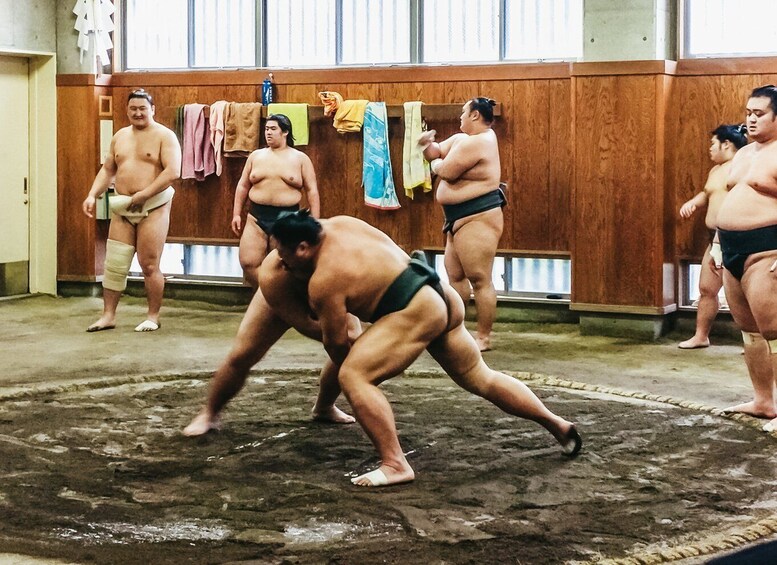 Picture 6 for Activity Tokyo: Sumo Morning Training Visit