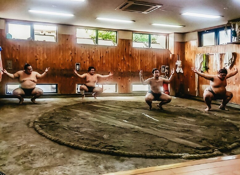 Picture 2 for Activity Tokyo: Sumo Morning Training Visit