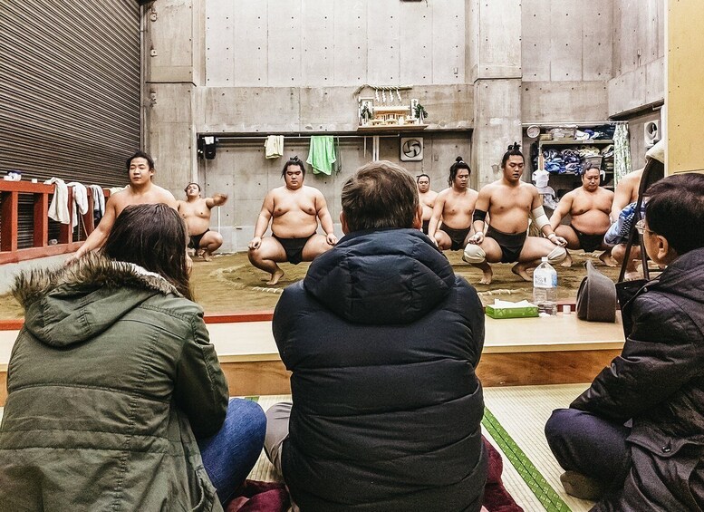 Picture 5 for Activity Tokyo: Sumo Morning Training Visit