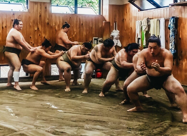 Picture 3 for Activity Tokyo: Sumo Morning Training Visit