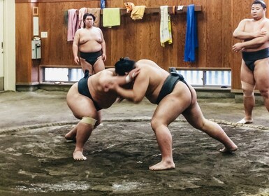 Tokio: visita matutina de entrenamiento de sumo