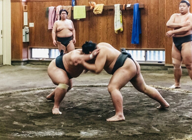 Tokyo: Sumo Morning Training Visit