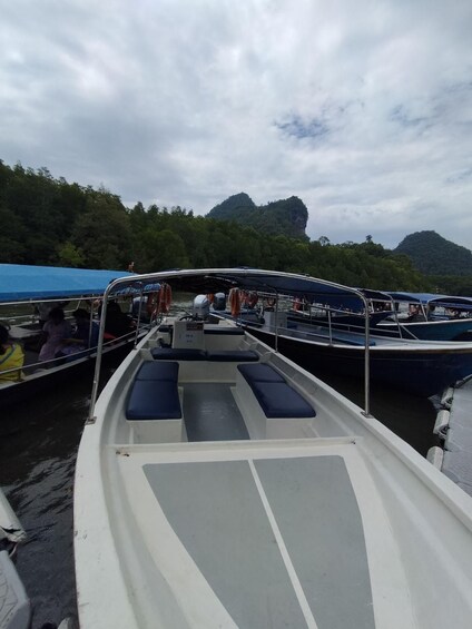 Picture 3 for Activity Mangrovetour 888 in Langkawi: Estimated 2 hours (Private)