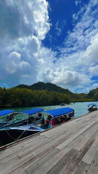 Picture 5 for Activity Mangrovetour 888 in Langkawi: Estimated 2 hours (Private)