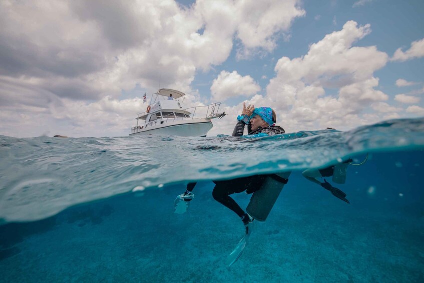 Picture 7 for Activity Cozumel: 2 tanks certified scuba diving