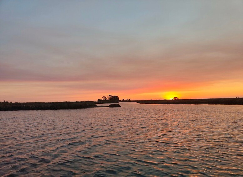 Picture 2 for Activity Aveiro: Ria Highlights Boat Tour