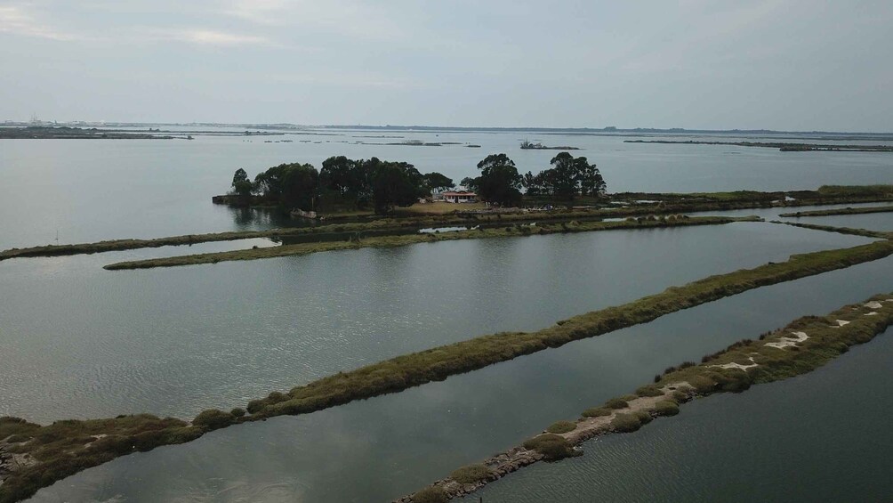 Picture 4 for Activity Aveiro: Ria Highlights Boat Tour