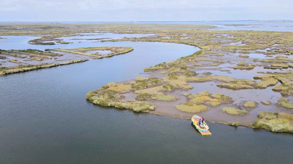 Aveiro: Ria Highlights Boat Tour