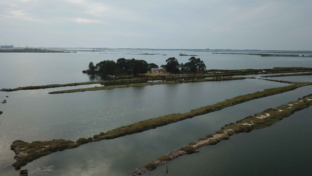 Picture 4 for Activity Aveiro: Ria Highlights Boat Tour