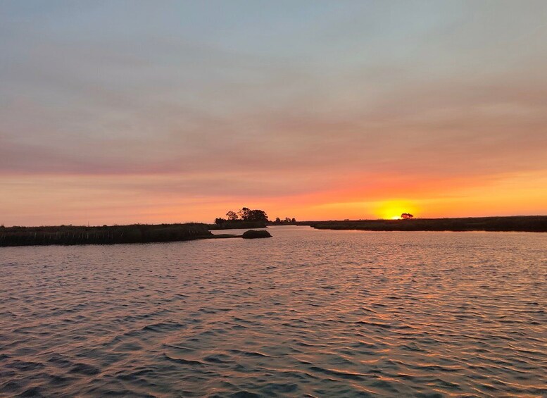 Picture 2 for Activity Aveiro: Ria Highlights Boat Tour