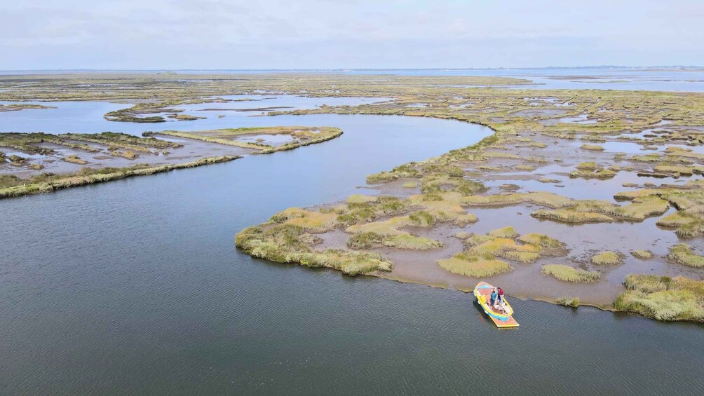 Aveiro: Ria Highlights Boat Tour