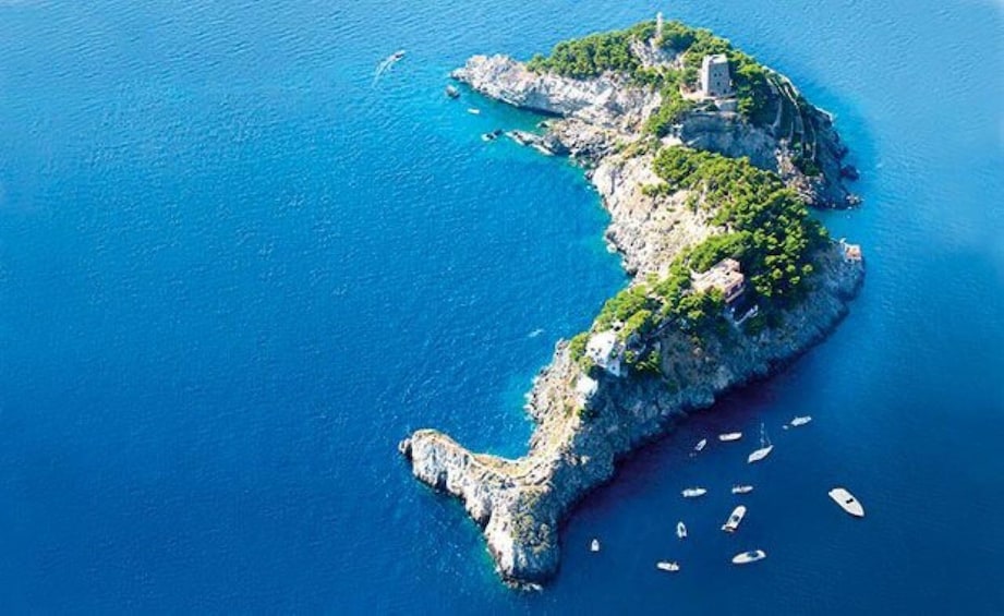 Picture 6 for Activity CAPRI luxury cruise from Amalfi or Positano